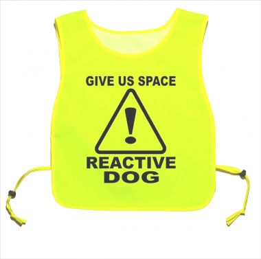 Give Us Space Reactive Dog Yellow tabard Dog Walking Training 01