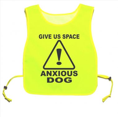 Give Us Space Anxious Dog Yellow tabard Dog Walking Training 02