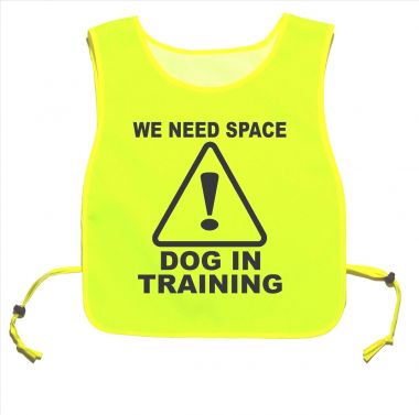 We Need Space Dog In Training Yellow tabard Dog Walking Training 03
