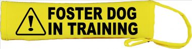 Foster Dog in Training - Fluorescent Neon Yellow Dog Lead Slip Lead Cover / Slip sleeve