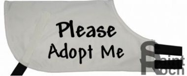 Please Adopt Me - Greyhound Coat